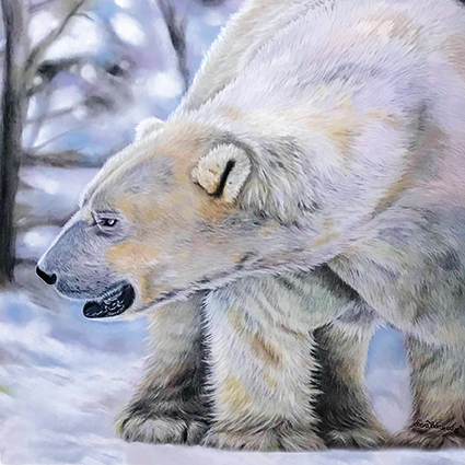 Hamish The Polar Bear